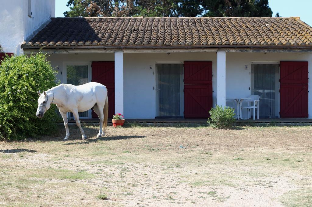 Appartement Mas des cypres à Les Les Saintes-Maries-de-la-Mer Extérieur photo