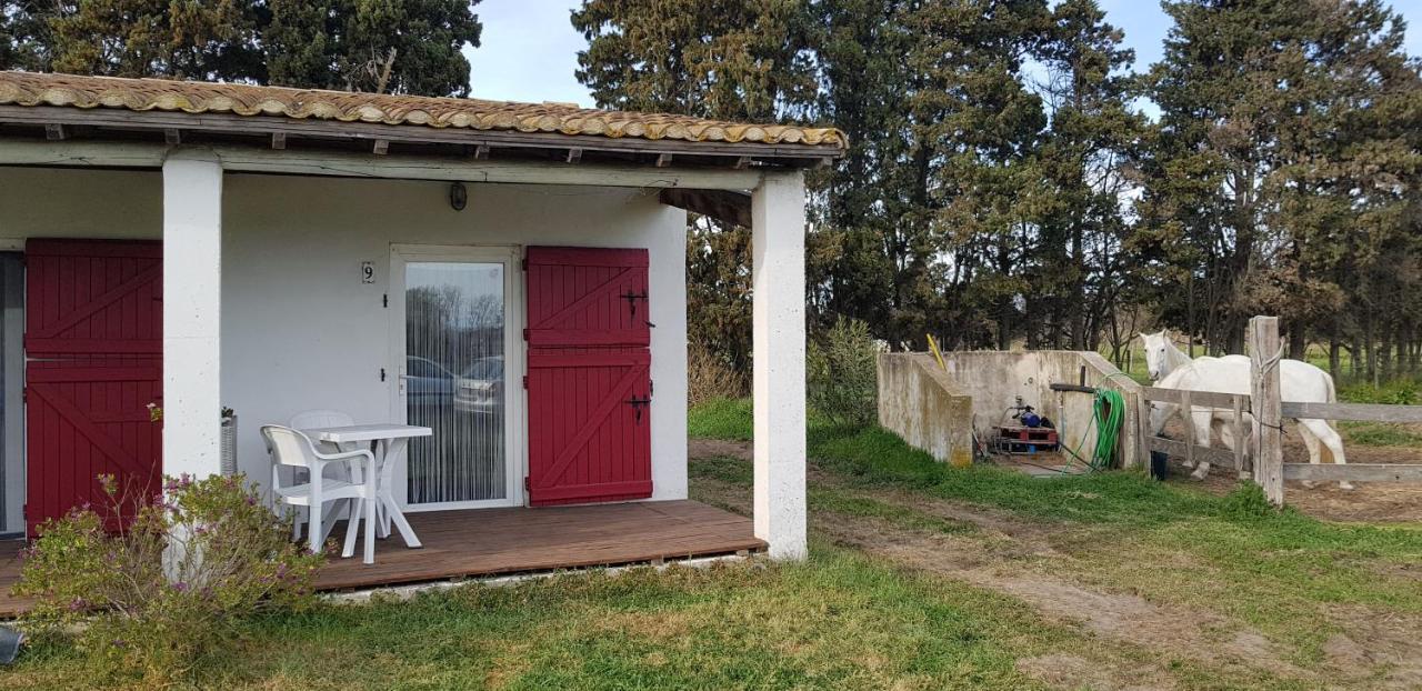 Appartement Mas des cypres à Les Les Saintes-Maries-de-la-Mer Extérieur photo